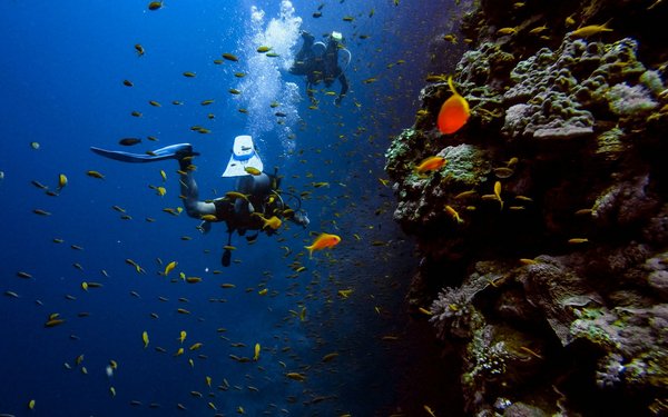 Quels sont les secrets pour une plongée réussie dans la Grande Barrière de Corail, Australie?